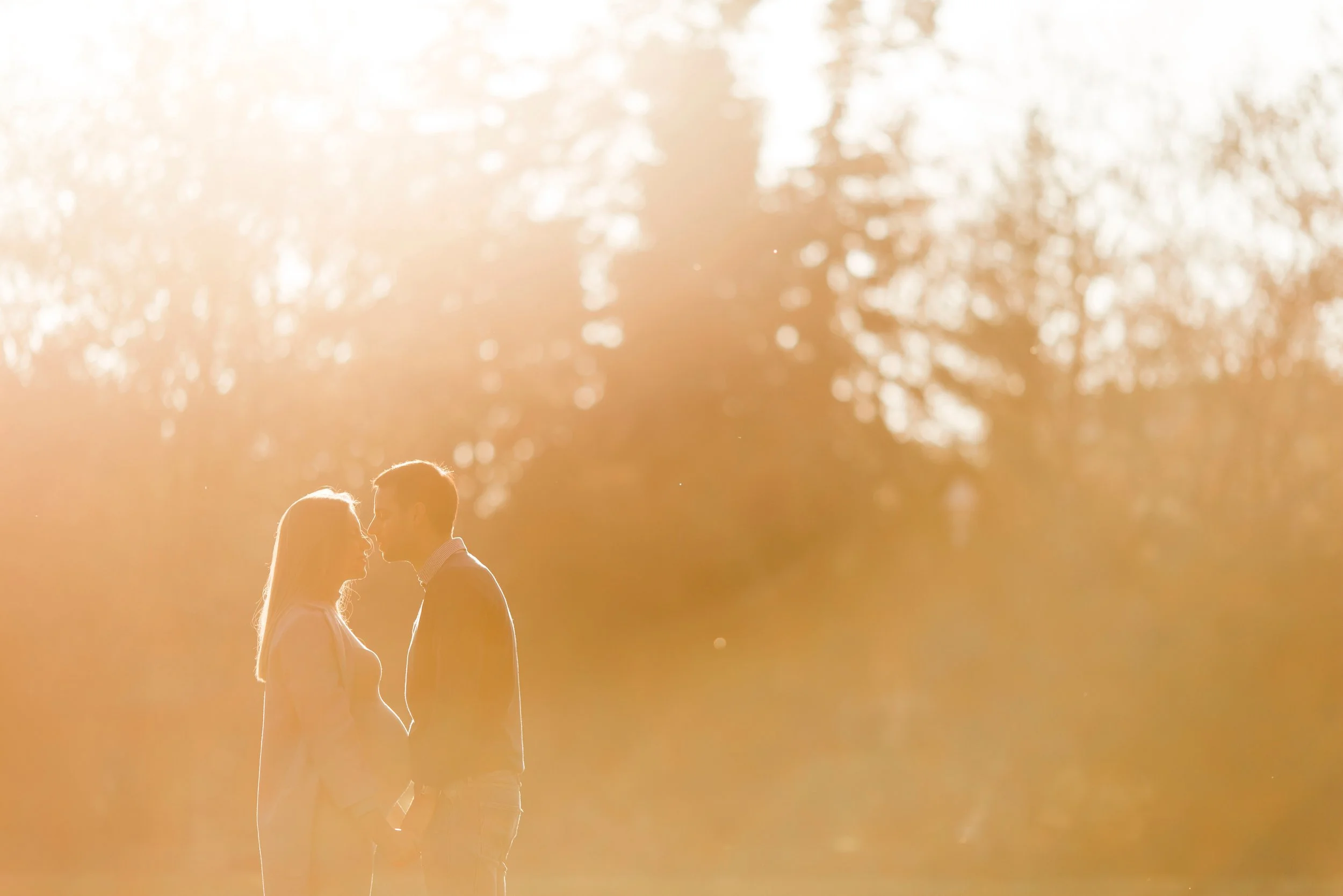 A couple standing close together outdoors during sunset, with warm backlighting and blurred trees in the background.