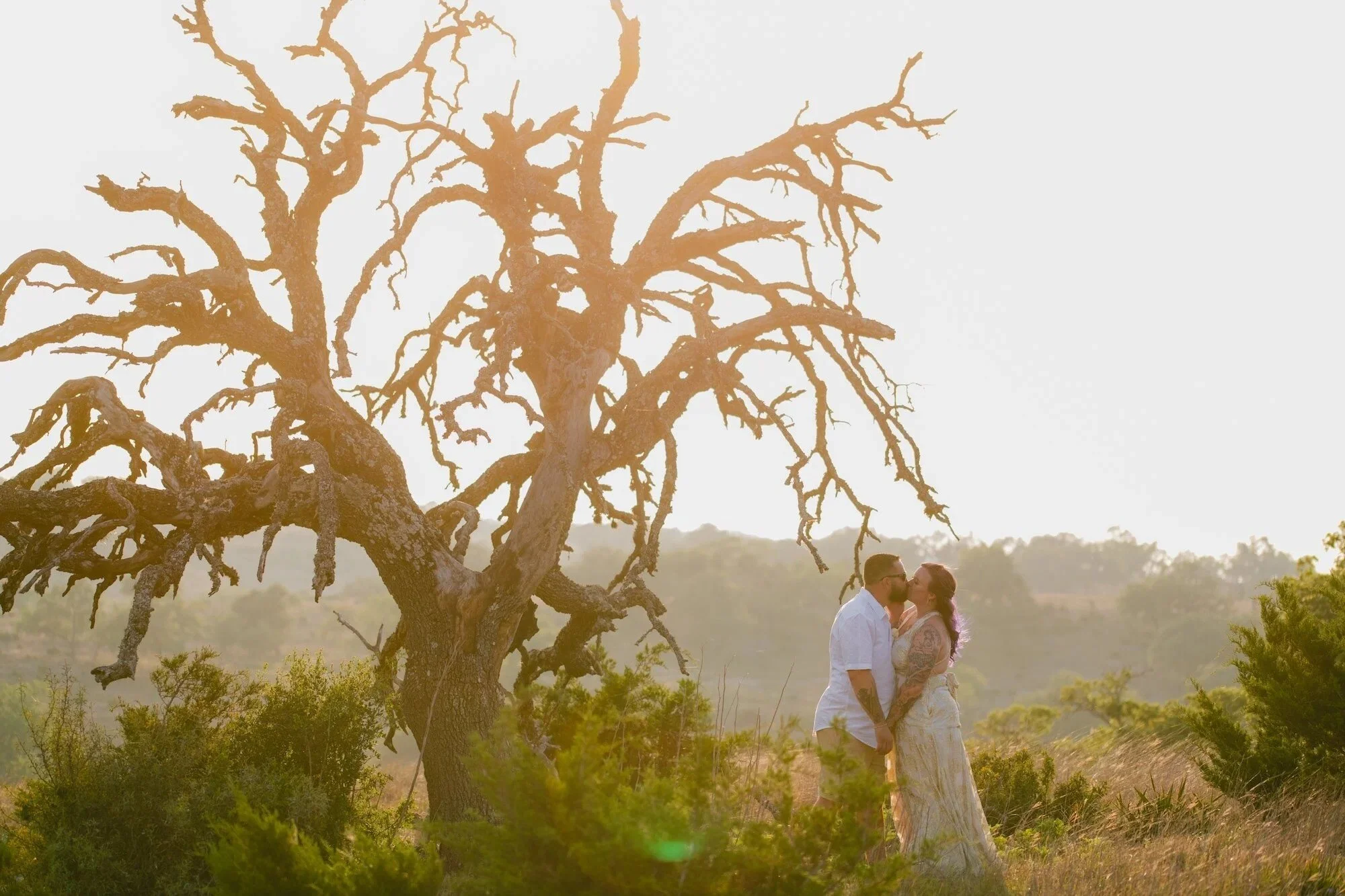 A couple standing and kissing in a field with a large, leafless tree and green shrubs around them during sunset.