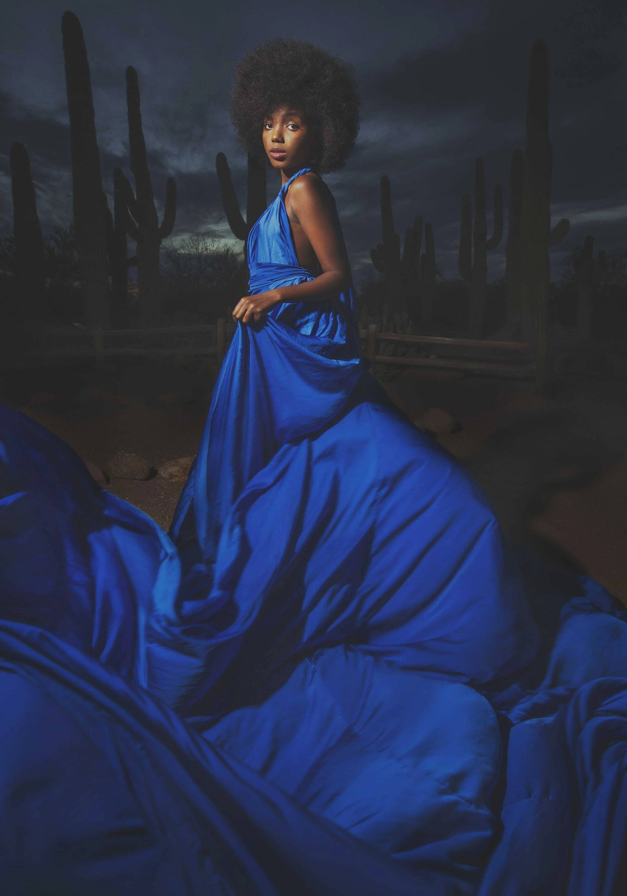 A woman in a flowing, bright blue dress standing outdoors at night with cacti and a dark, cloudy sky in the background.