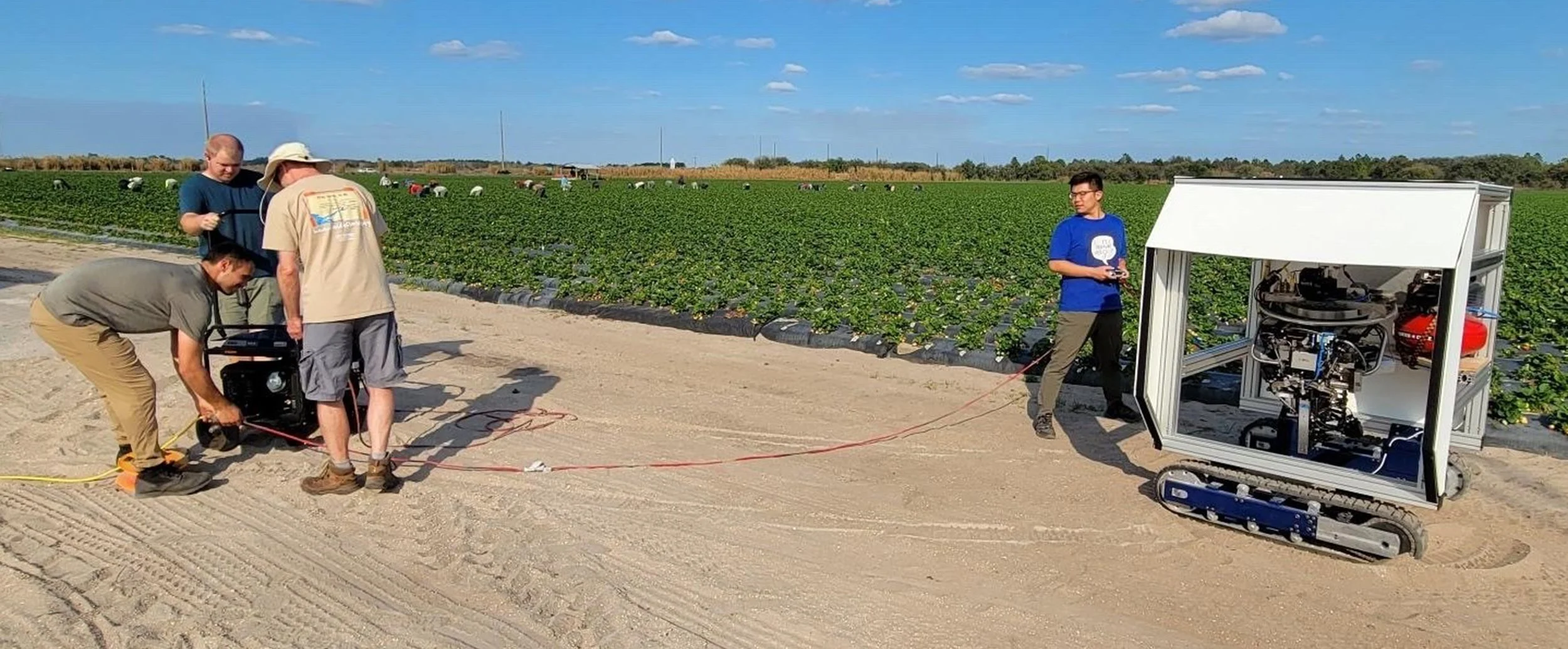 pick strawberries autonomously