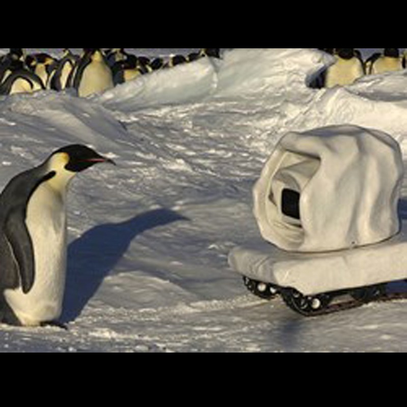 A group of penguins in an icy landscape with a camera on a tracked vehicle covered with snow in the foreground.