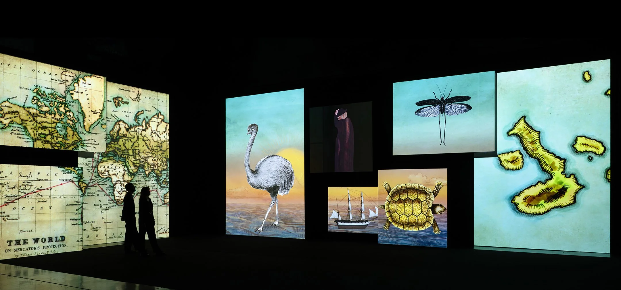 Exhibit with maps and illustrations of animals, including a map of the world, a swan, a monkey, a dragonfly, a sea turtle, and a sailing ship.