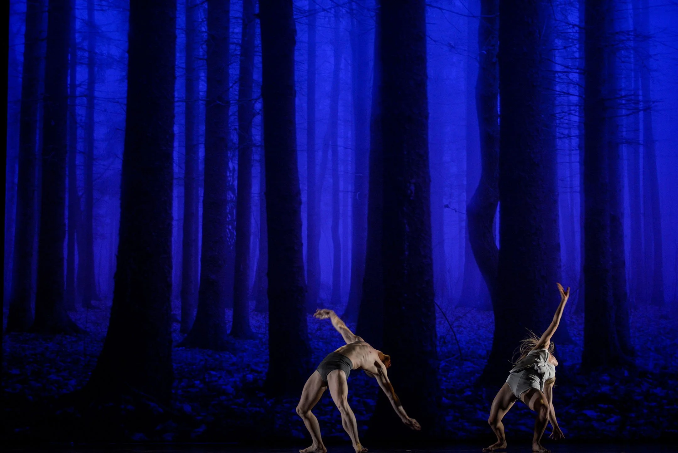 Two dancers perform on stage against a backdrop of a dark, misty blue forest with tall trees, one dancer bent over with arms reaching downward and the other extending an arm upward.