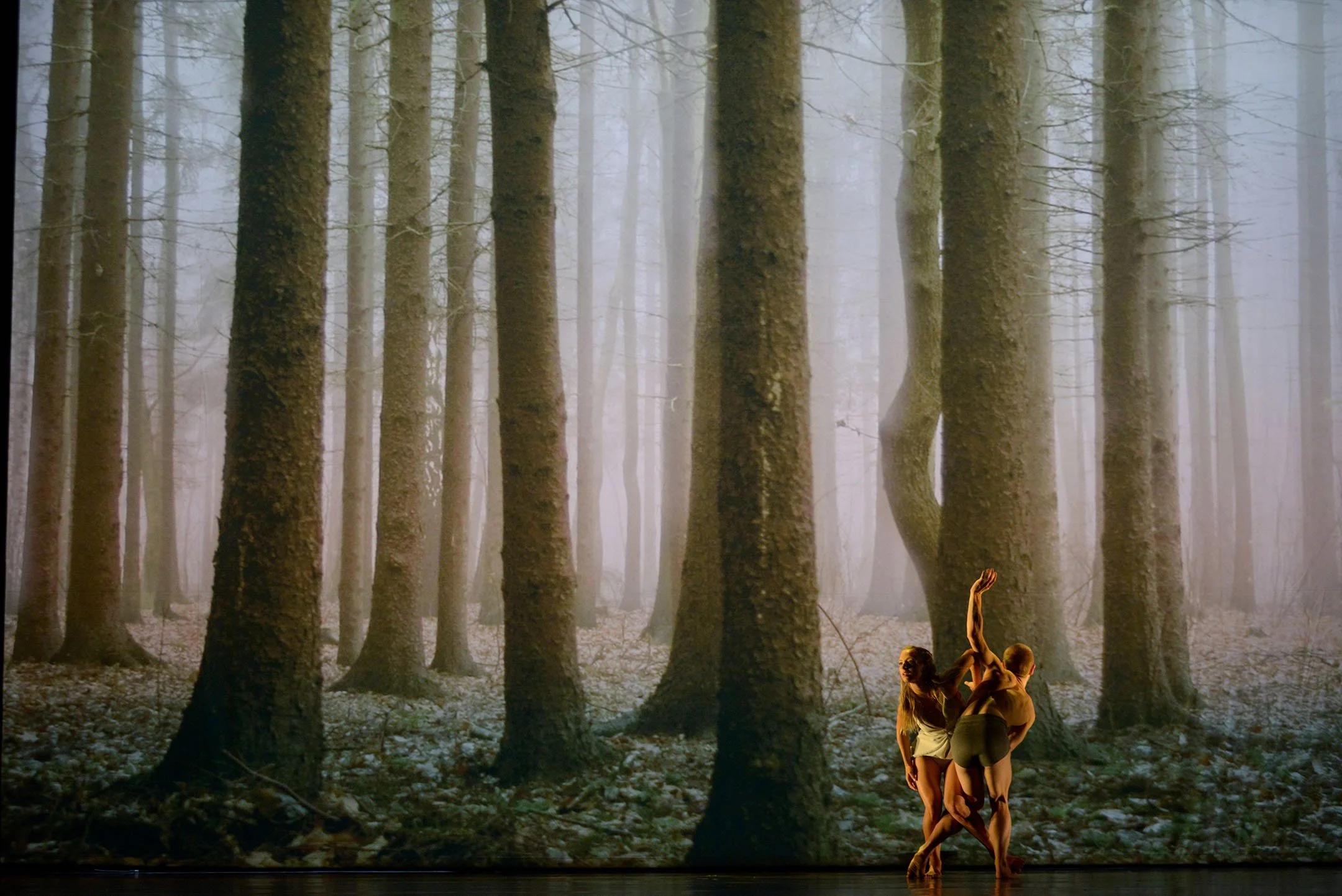 Two ballet dancers perform on stage in front of a backdrop depicting a foggy forest with tall trees and sparse underbrush.