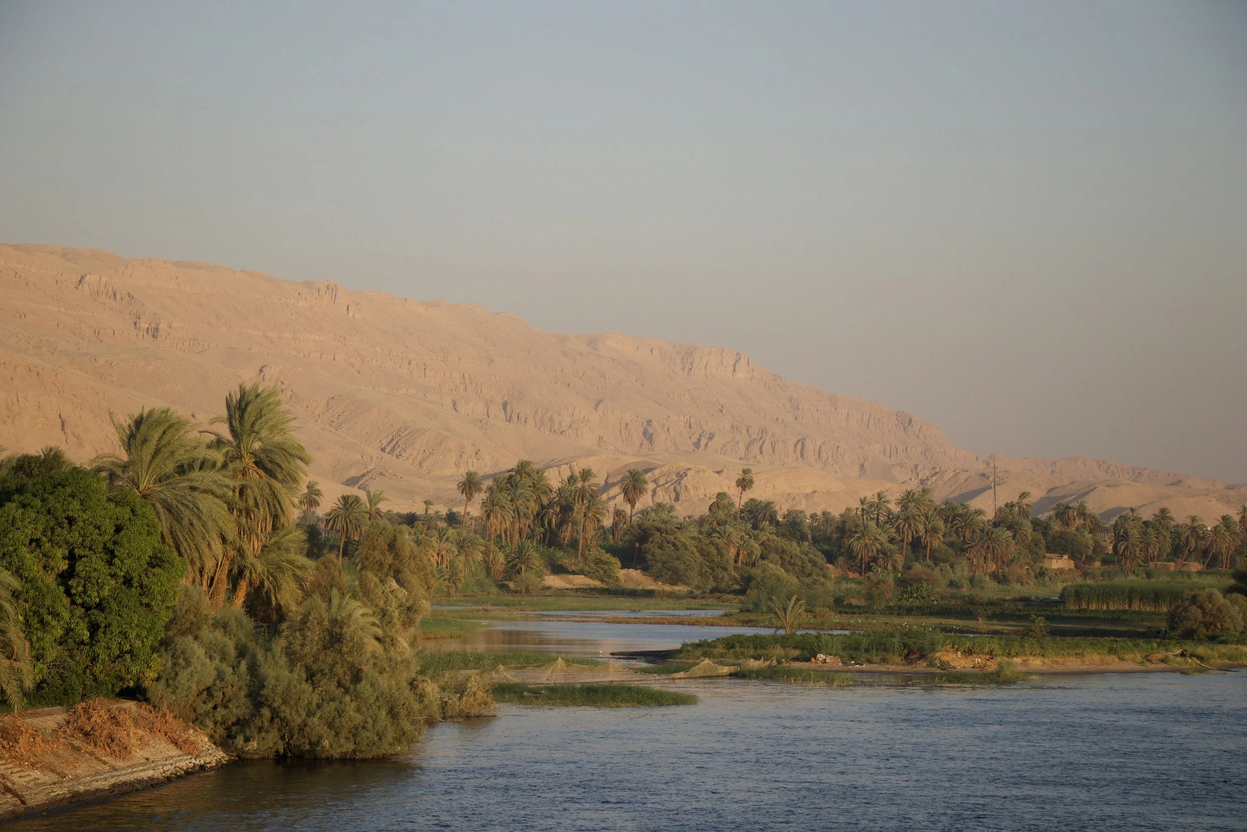 A river flowing through a lush green area with palm trees, with desert mountains in the background under a clear sky. Nile River