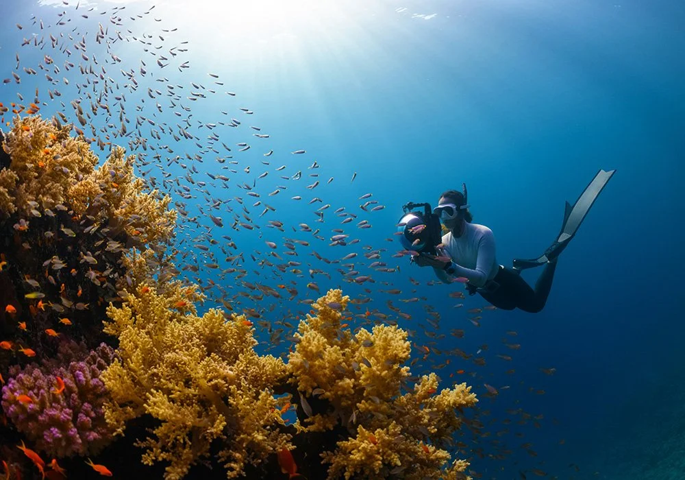 A scuba diver holds an underwater camera near a vibrant coral reef, surrounded by a school of small fish, with sunlight streaming from above in clear blue water.