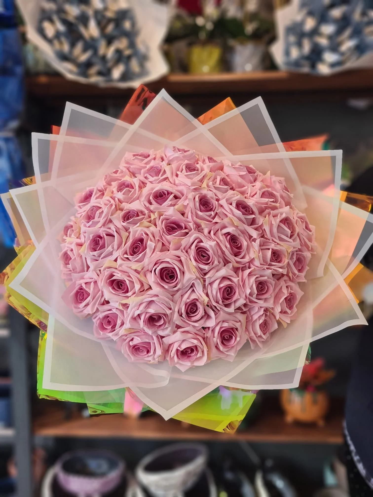 WhatsApp Image 2026-03-15 at 17.03.16.jpeg