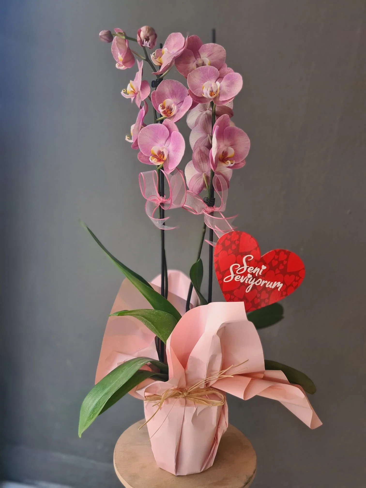 WhatsApp Image 2026-02-13 at 14.00.16 (3).jpeg