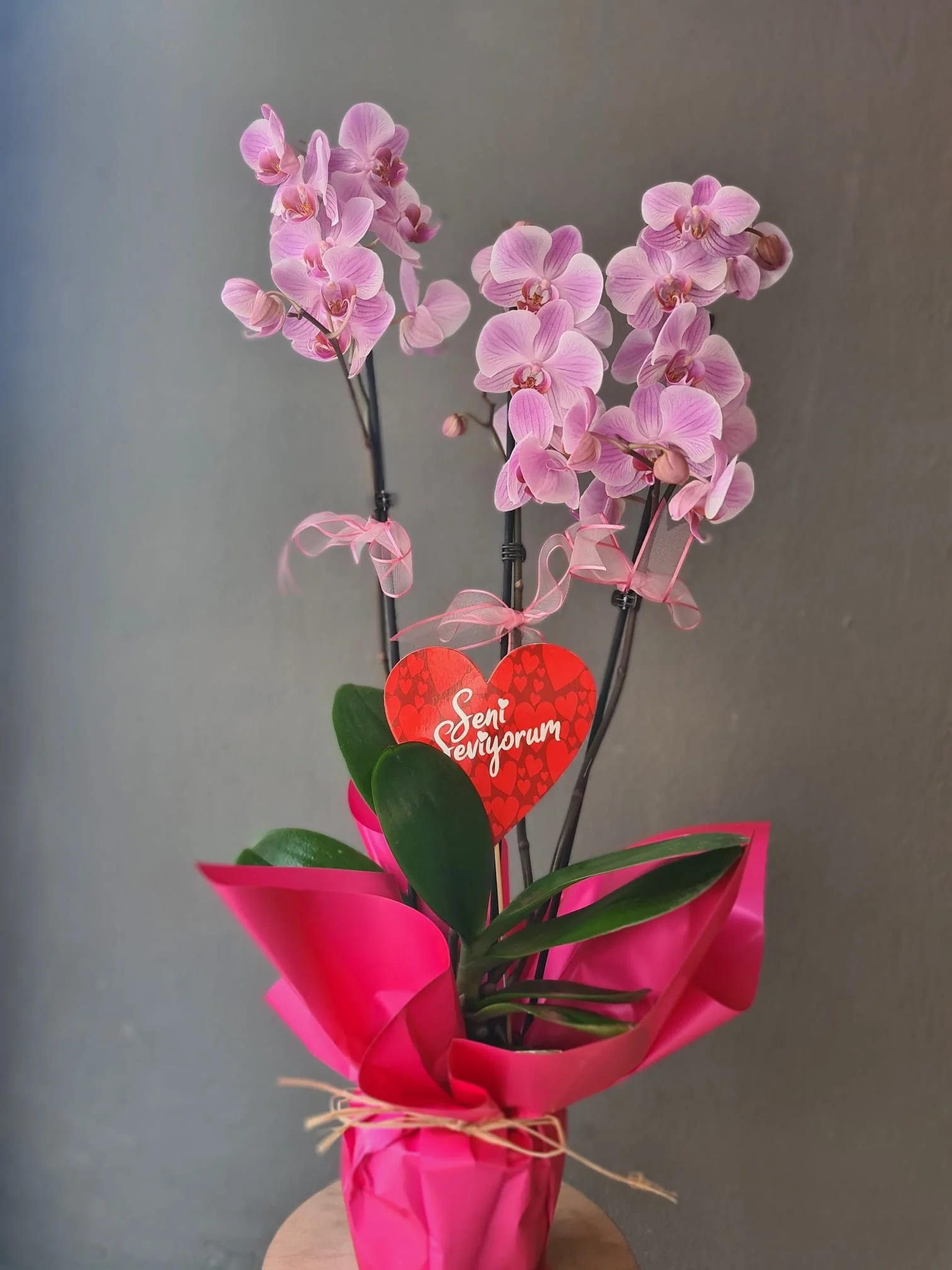 WhatsApp Image 2026-02-13 at 14.00.16 (5) - Kopya.jpeg