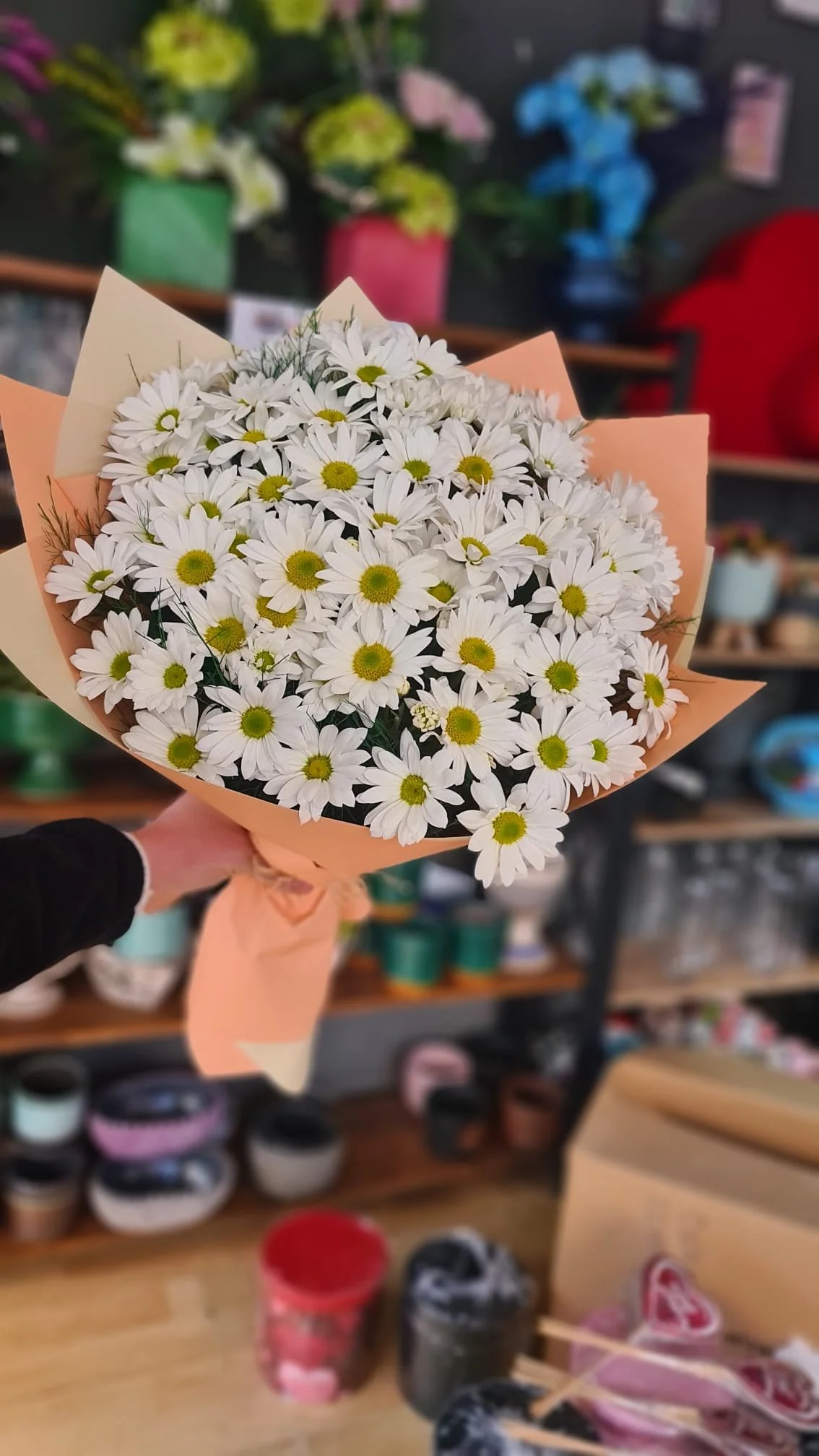 WhatsApp Image 2026-02-25 at 15.55.47.jpeg