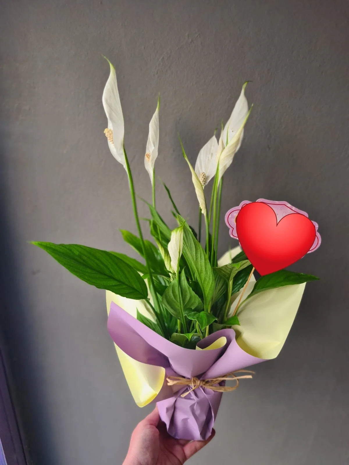 WhatsApp Image 2026-02-13 at 14.00.17 (4).jpeg