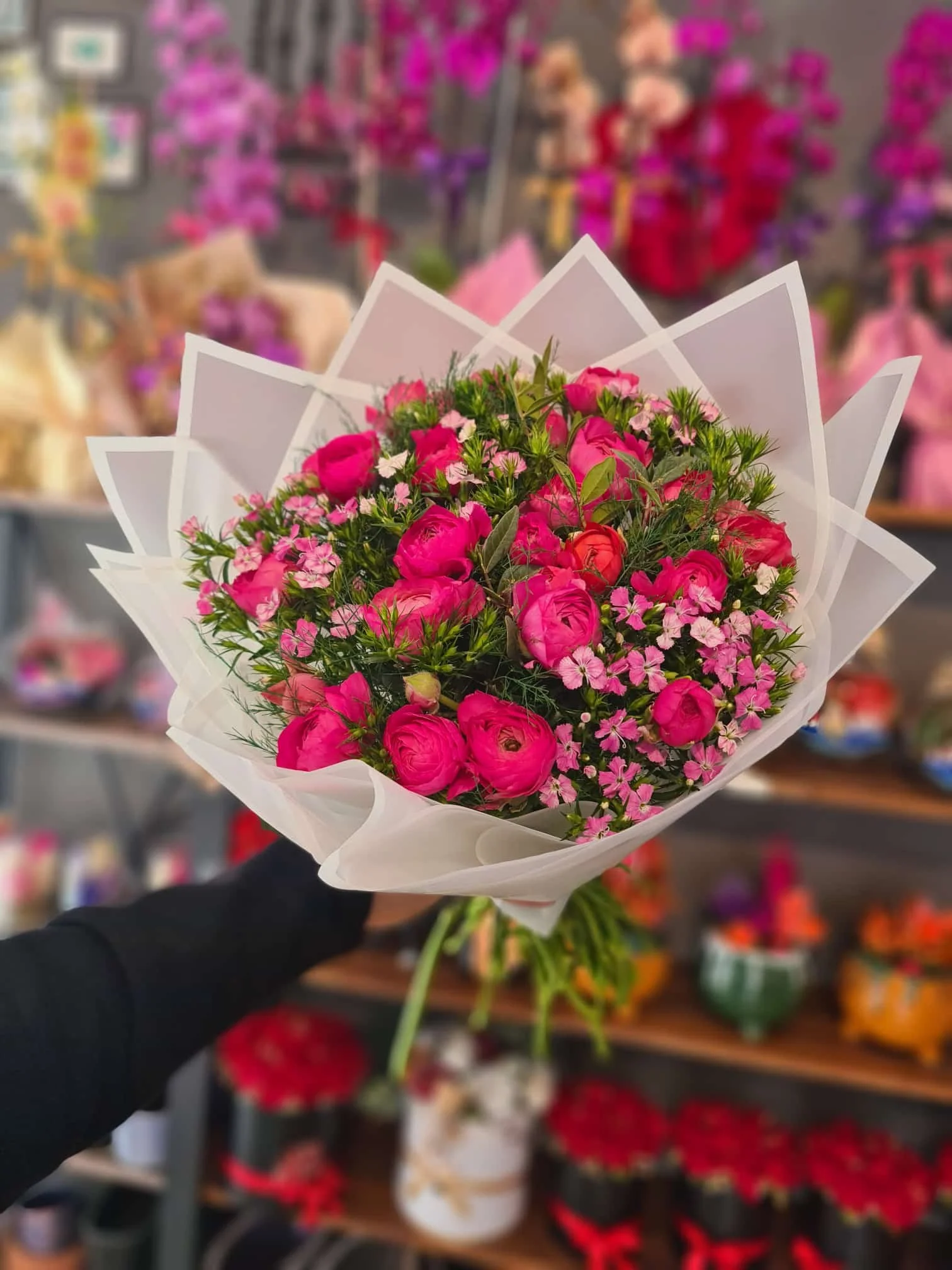 WhatsApp Image 2026-03-07 at 11.13.44 (7).jpeg