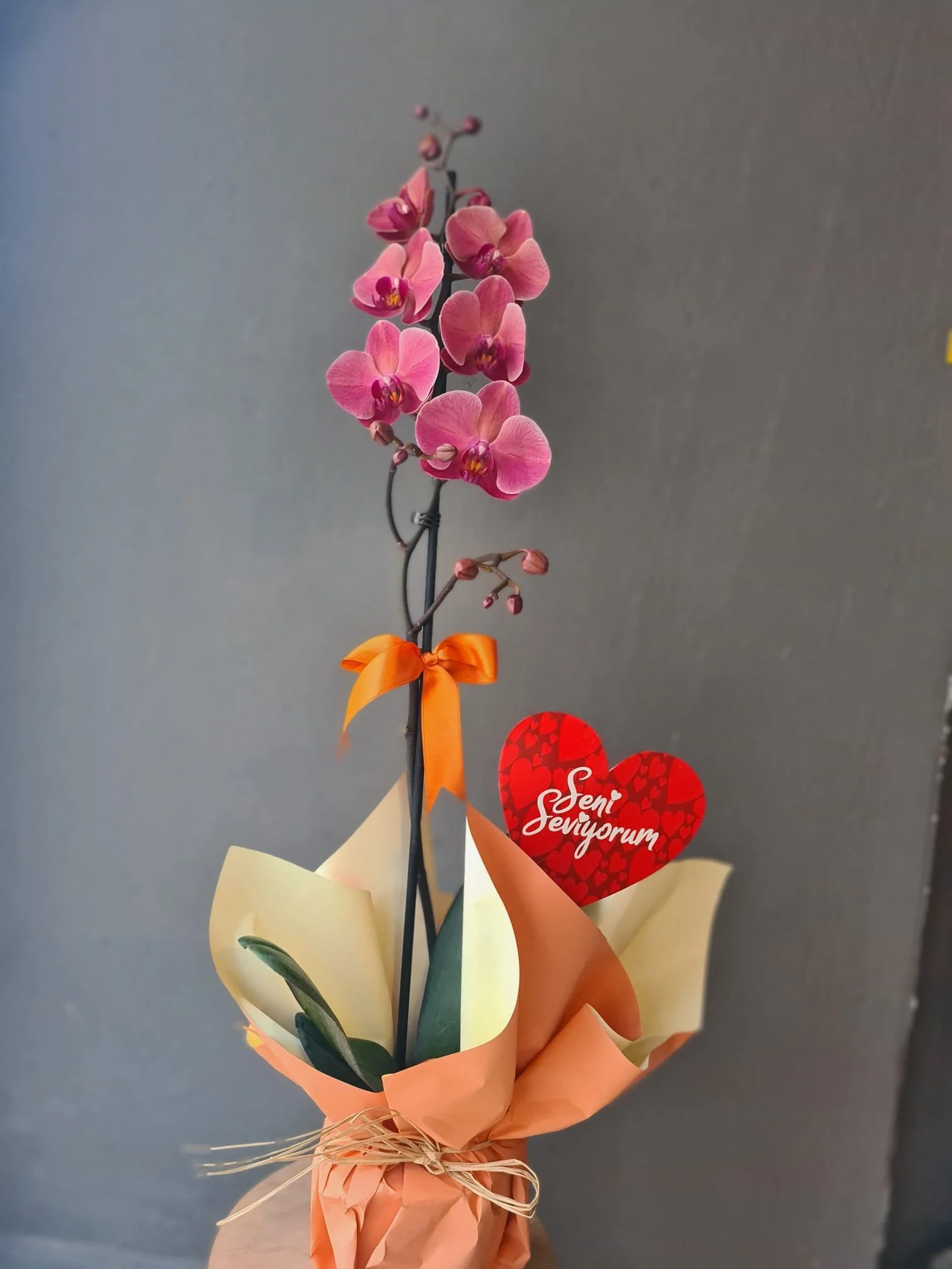 WhatsApp Image 2026-02-13 at 14.00.15 (4) - Kopya.jpeg