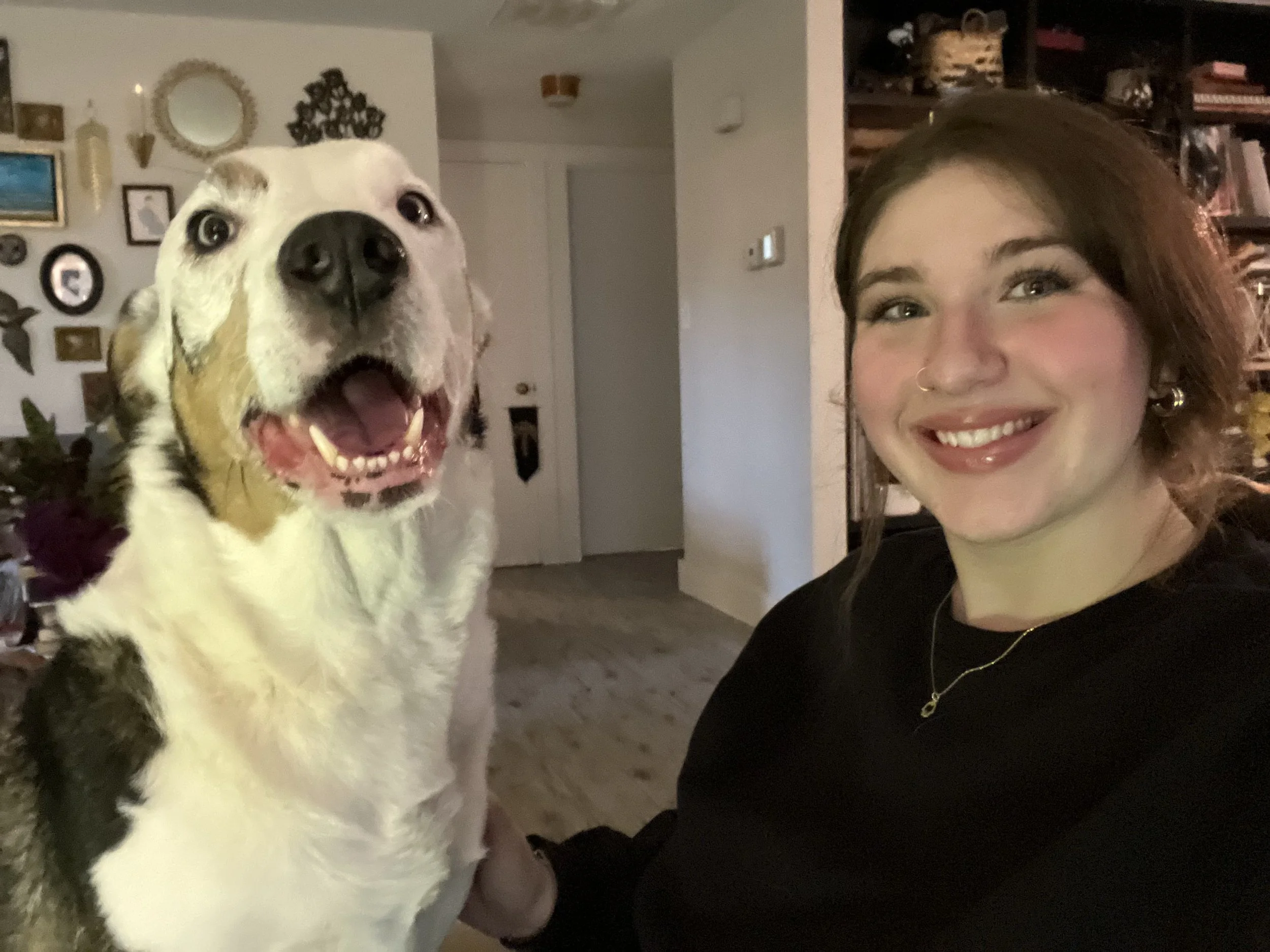 “As a trainer, Robert is thorough, thoughtful, and effective. He meets each dog where they are, adapting to suit their individual needs. I am confident that any dog will make meaningful progress in his care, and any owner will appreciate his knowledg