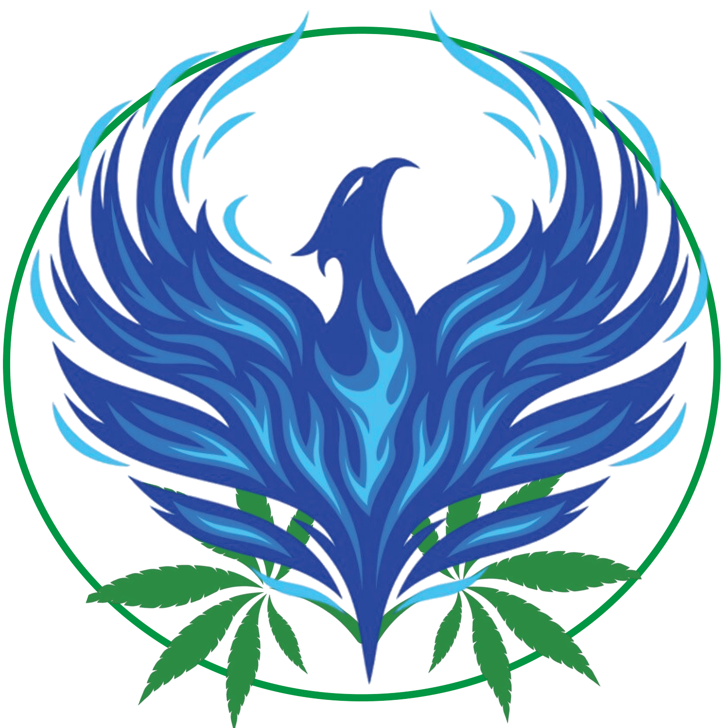 Translucency Cannabis