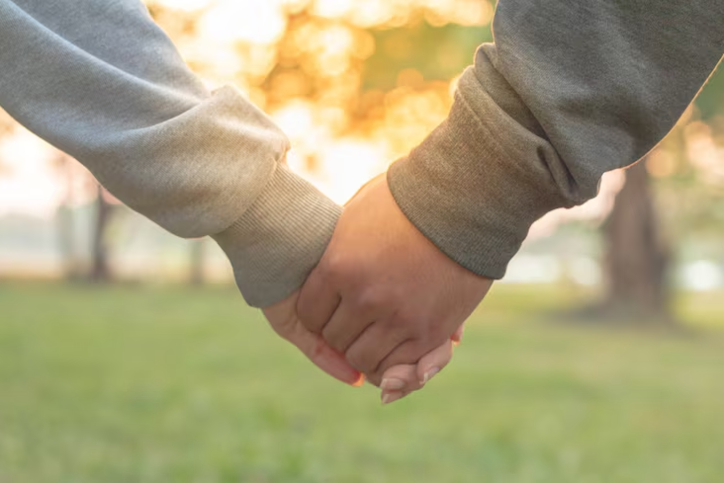 Close-up of two people holding hands outdoors during sunset, with trees and a grassy area in the background.