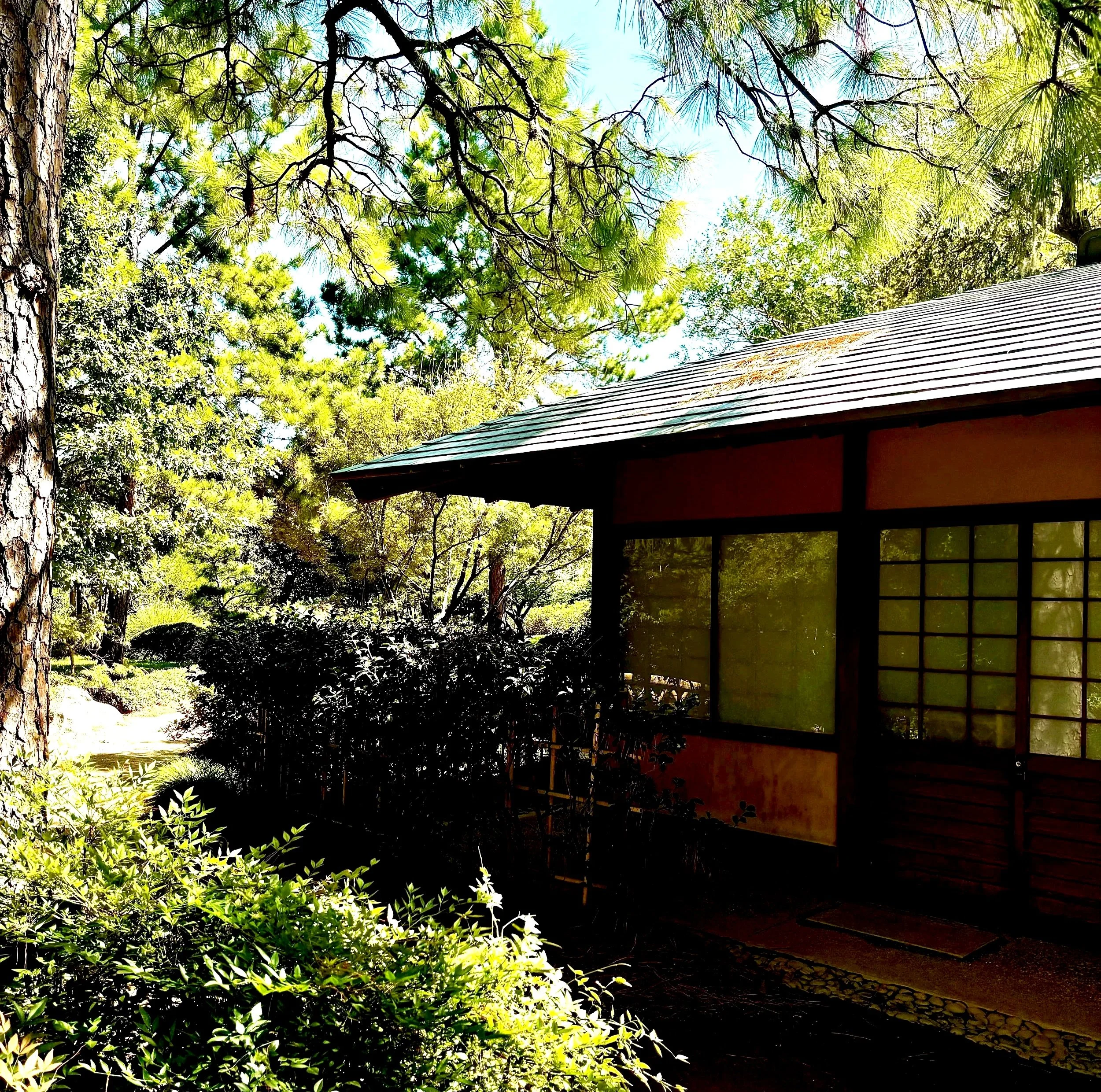 Nagomiya: Japanese Flavor in the heart of Midtown