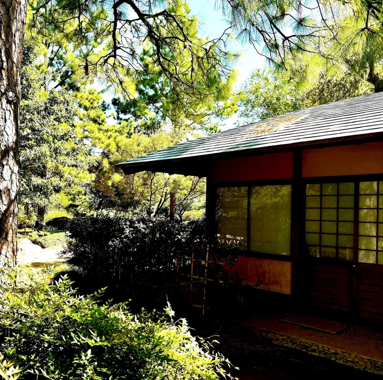 Nagomiya, Midtown Atlanta