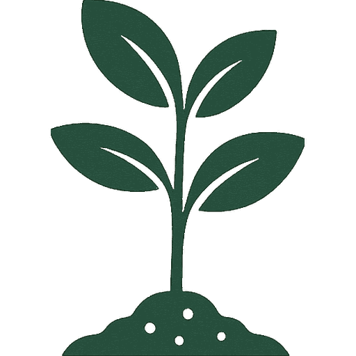 KA Mustard Seeds