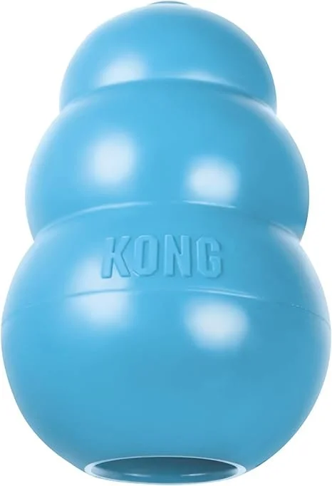 kong.jpg