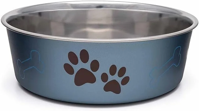dog bowl.jpg