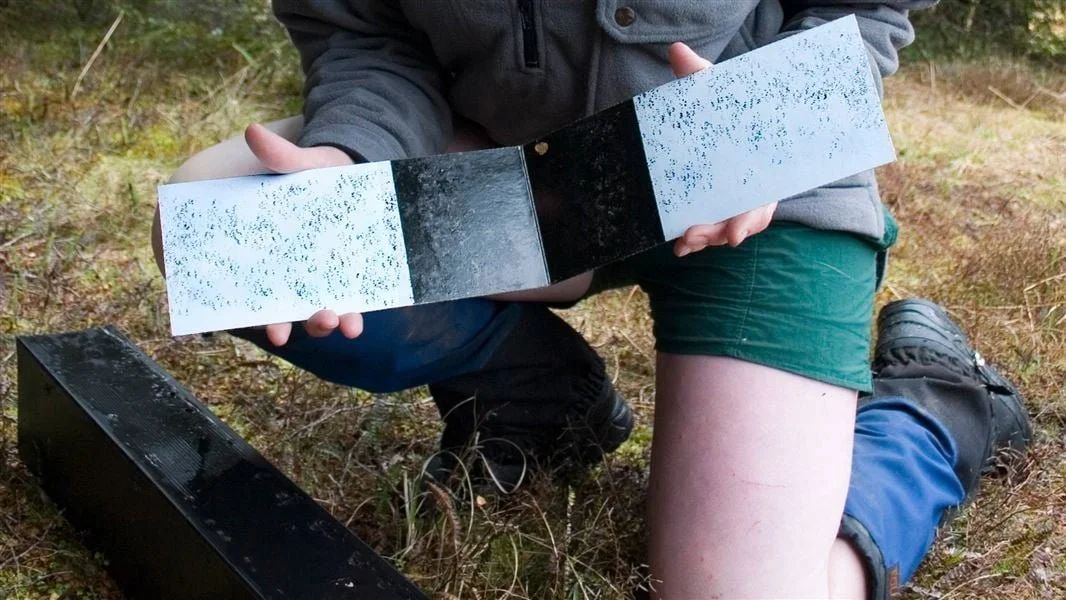 Tracker Tuesdays - Citizen Scientists Needed!