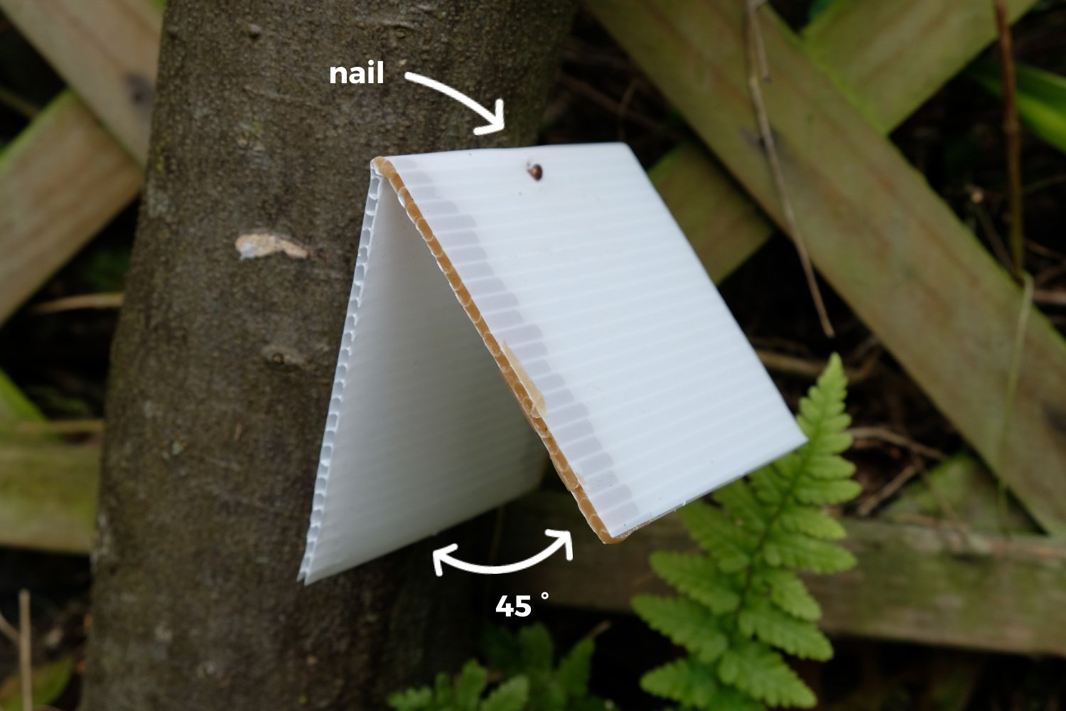 Make Your Own Chew Cards