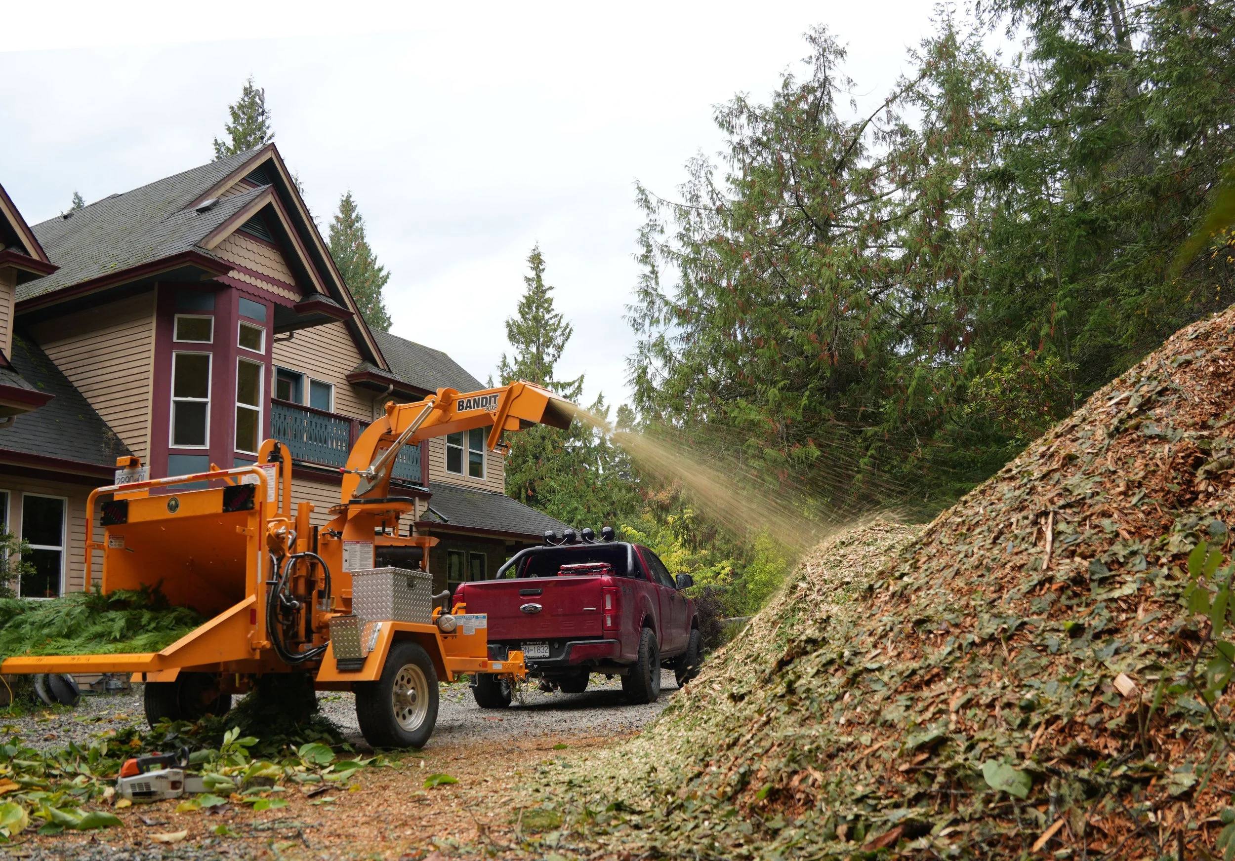 Mossy Rock_TreesDown_8_RJespersen_J303421.jpg