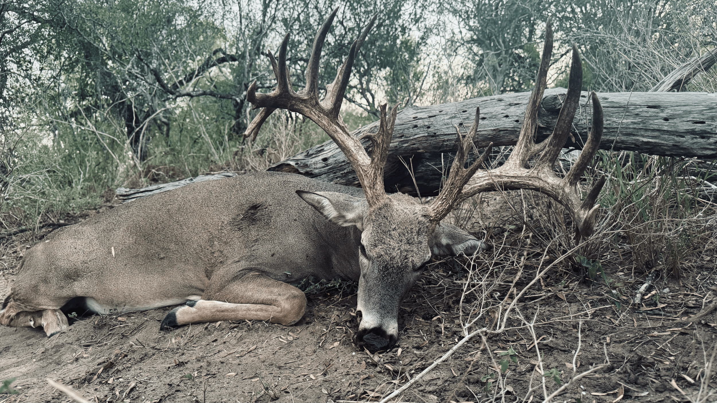 Avoid These Five Mistakes: Pricing, Booking &amp; Social Proof for Hunting Outfitters