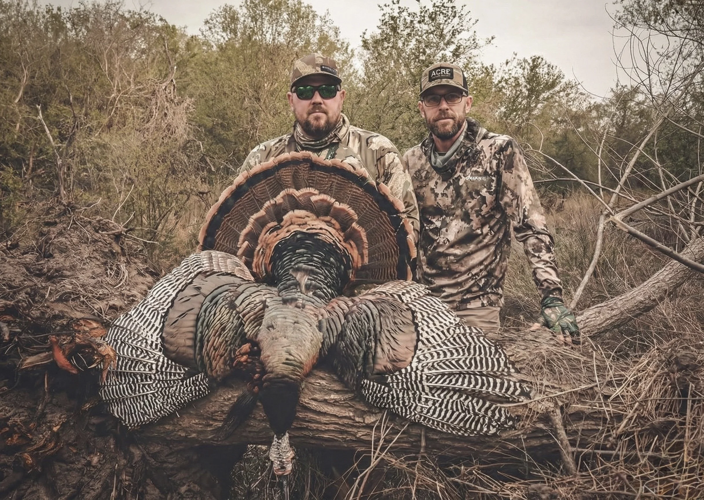 What Hunters Need to Know about Guided Turkey Hunts in South Texas