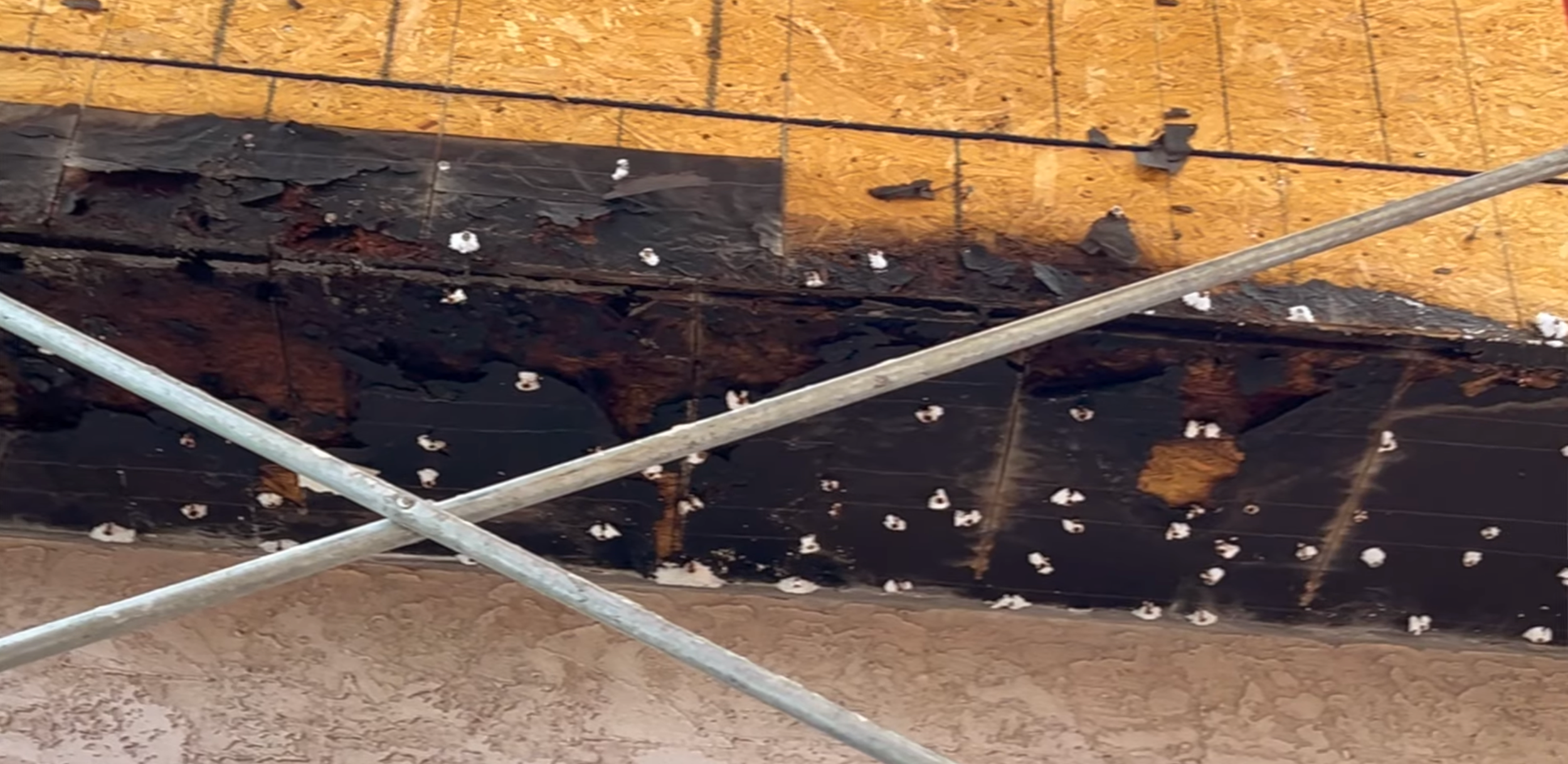 Screen Shot 2025-11-30 at 8.14.19 AM.png