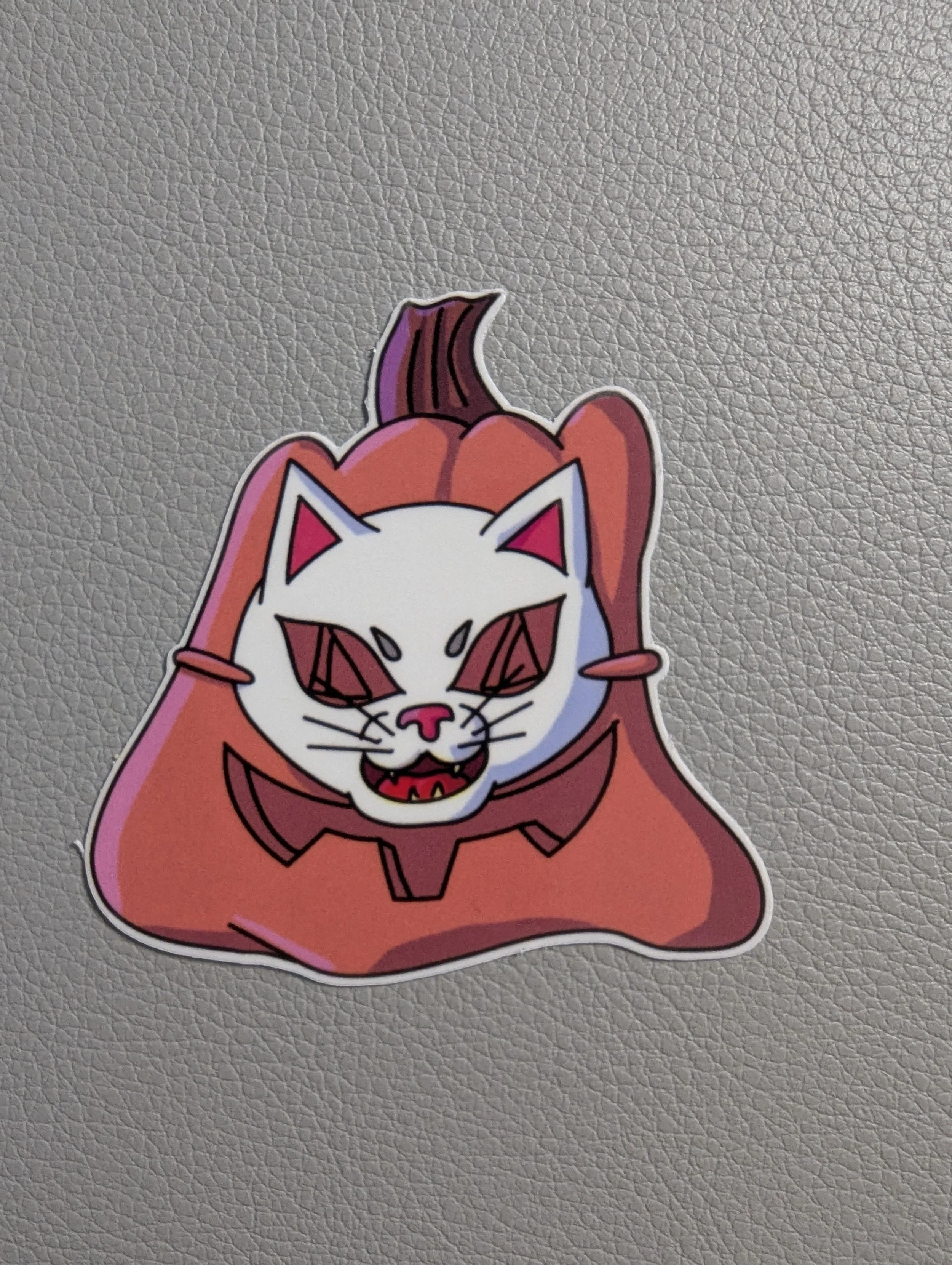 Cat Mask Pumpkin Photo.jpg