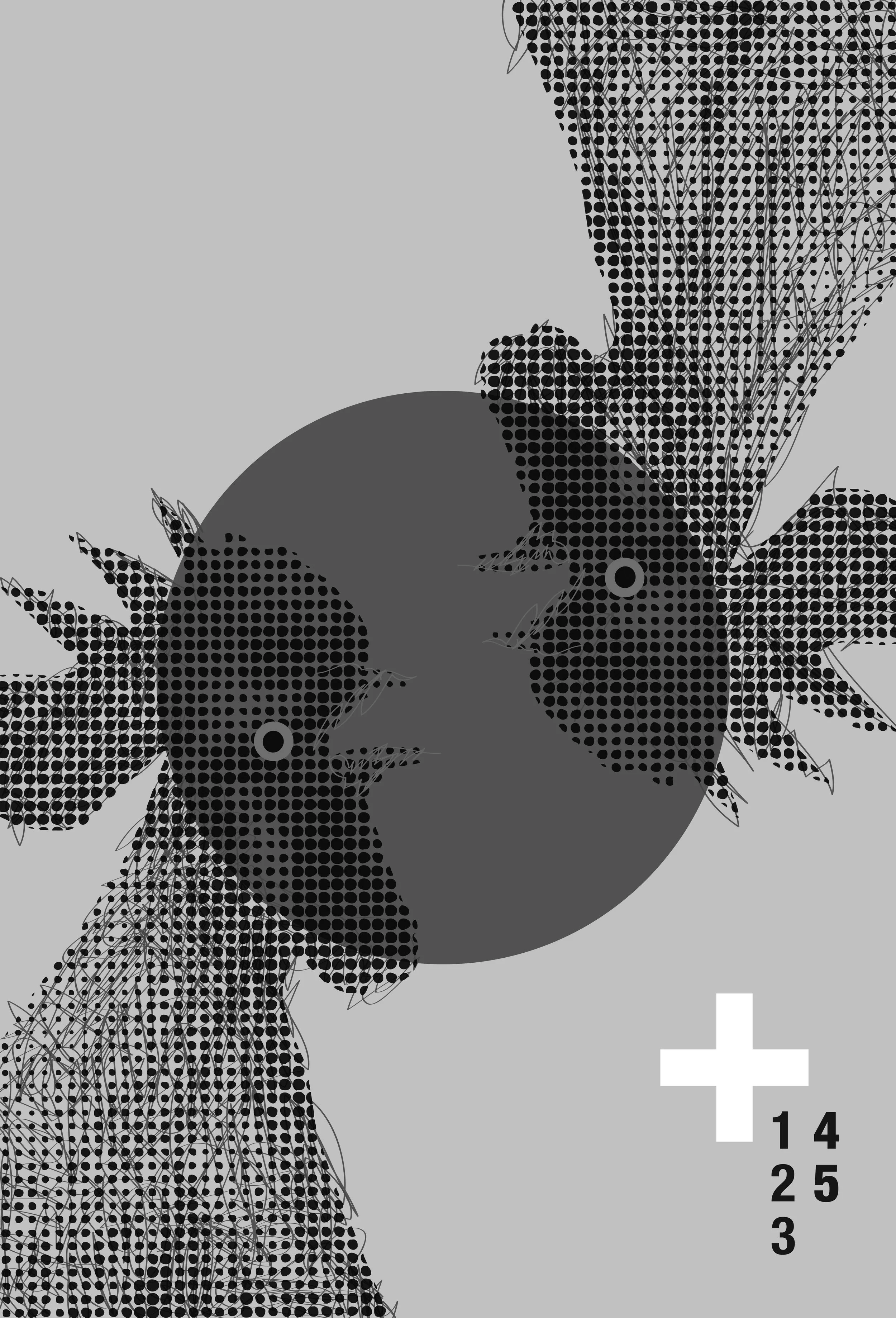 Graphic design poster with two parrots facing each other on a red circle background. Black decorative elements and a white cross with numbers 1, 2, 3, 4 on the lower right.