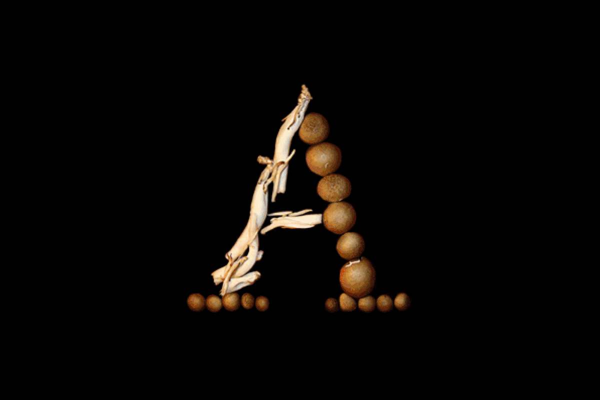 Letters A formed with wooden balls and driftwood on a black background.