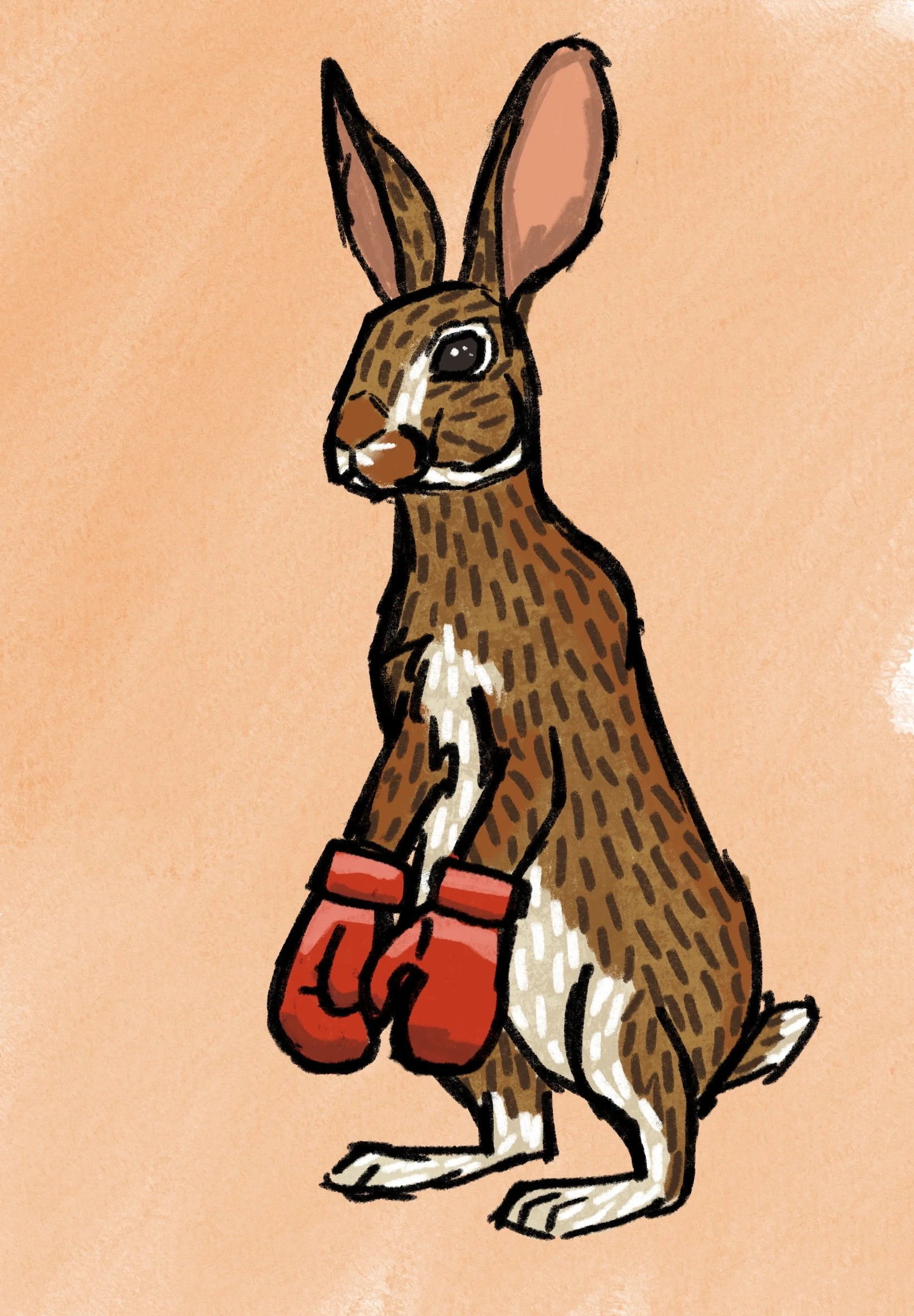For some reason the thought of a rabbit with boxing gloves just came to me one day. I saw a boxer with their arms down limp as they rested between matches and for some reason I thought of how rabbits will stand on their back legs. I think he's very f