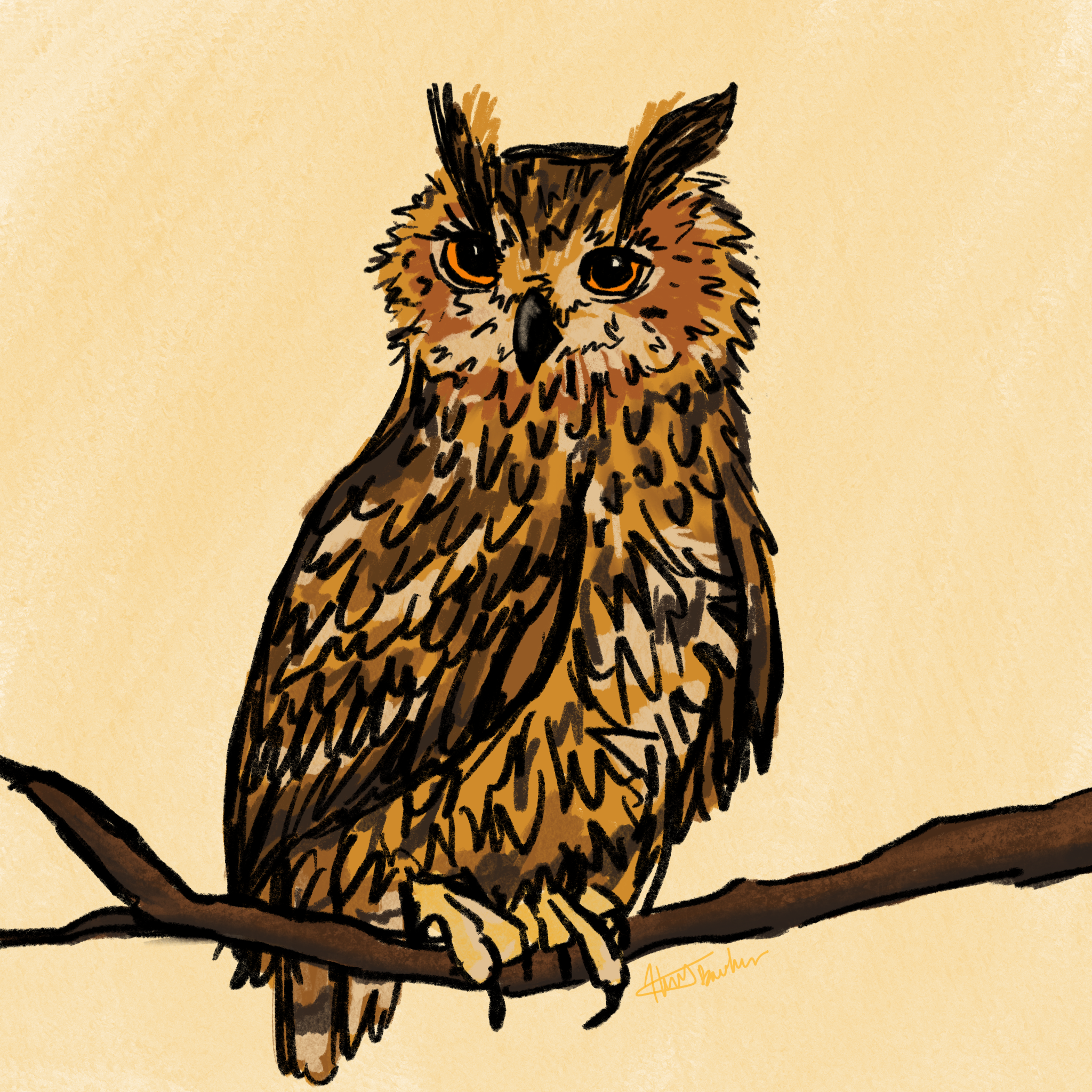 Golden owl was simply inspired by asking my sister in law what her favorite animal is. I really let loose with this one, starting with the sketch which is the dark black outline you see here. It was one of the early dark thick images I drew, a style 