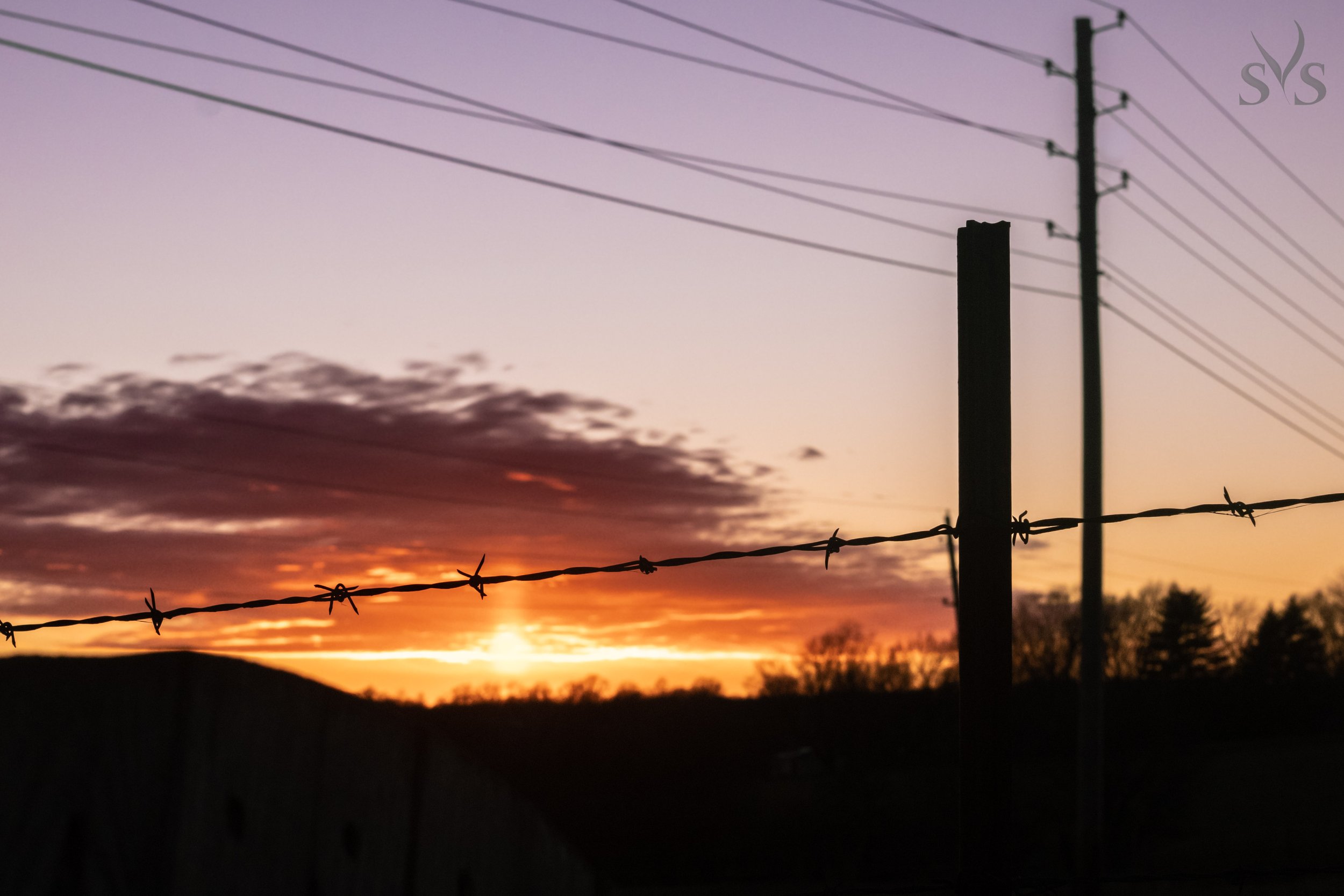 Sunset Barb Landscape WM.jpg