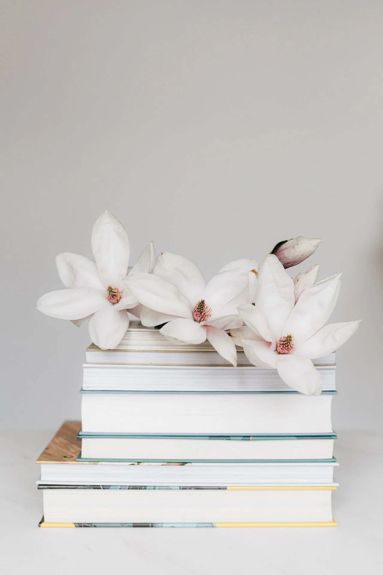 A stack of books topped with white magnolia flowers against a plain gray background.