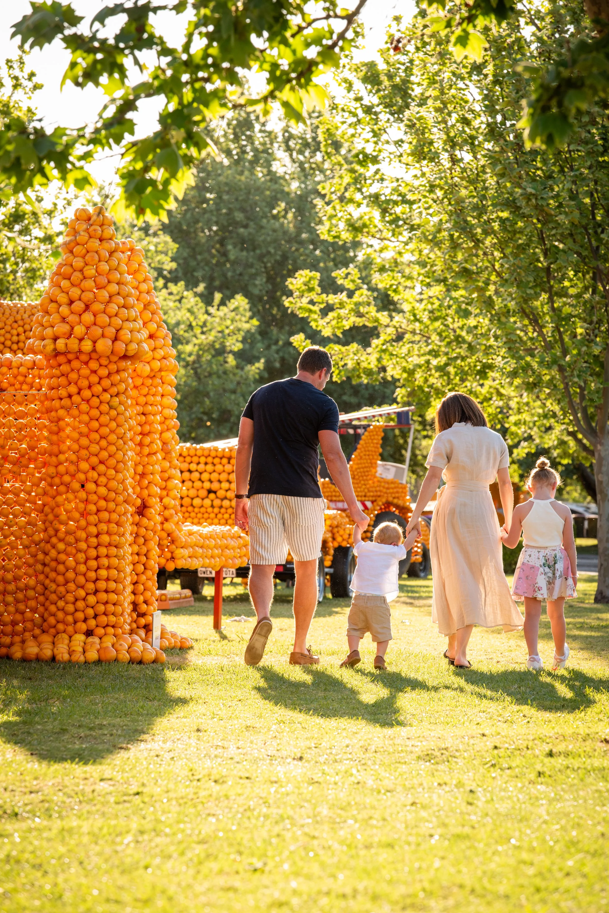 A family of four, parents and two children, walking on grass near a large display of stacked oranges at an outdoor farm or market.