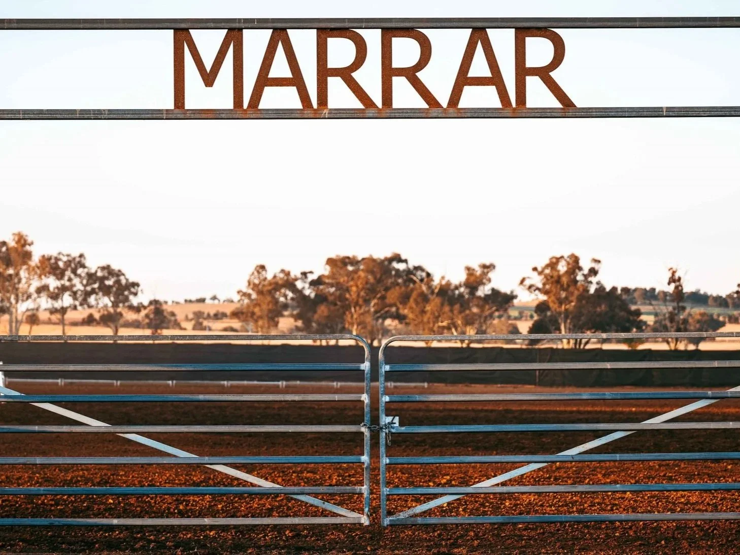 Marrar Campdraft