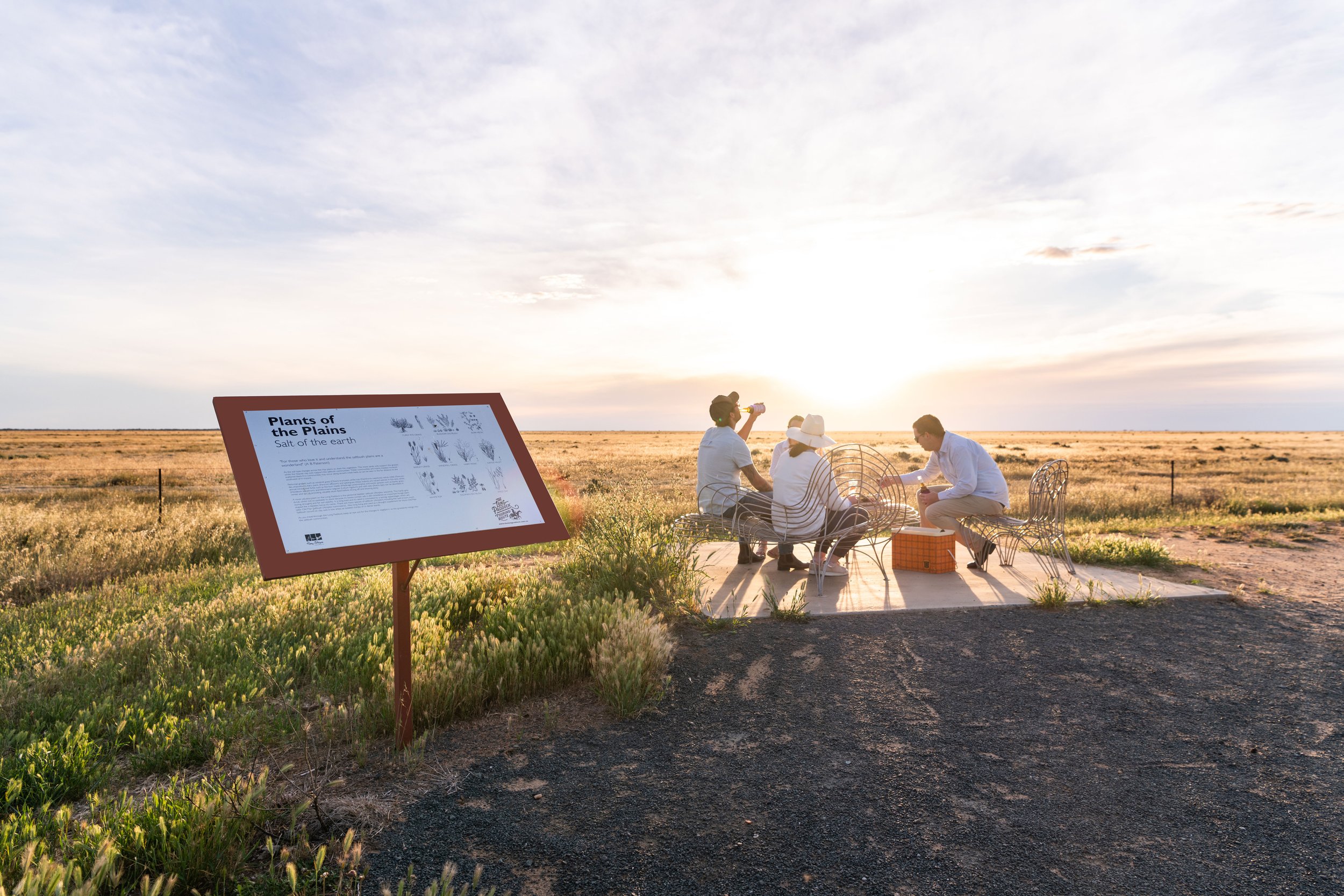 Four people on the hay plains NSW sitting on metal chairs at an outdoor informational display about plants of the hay plains, with the sun setting in the background, in an open field.