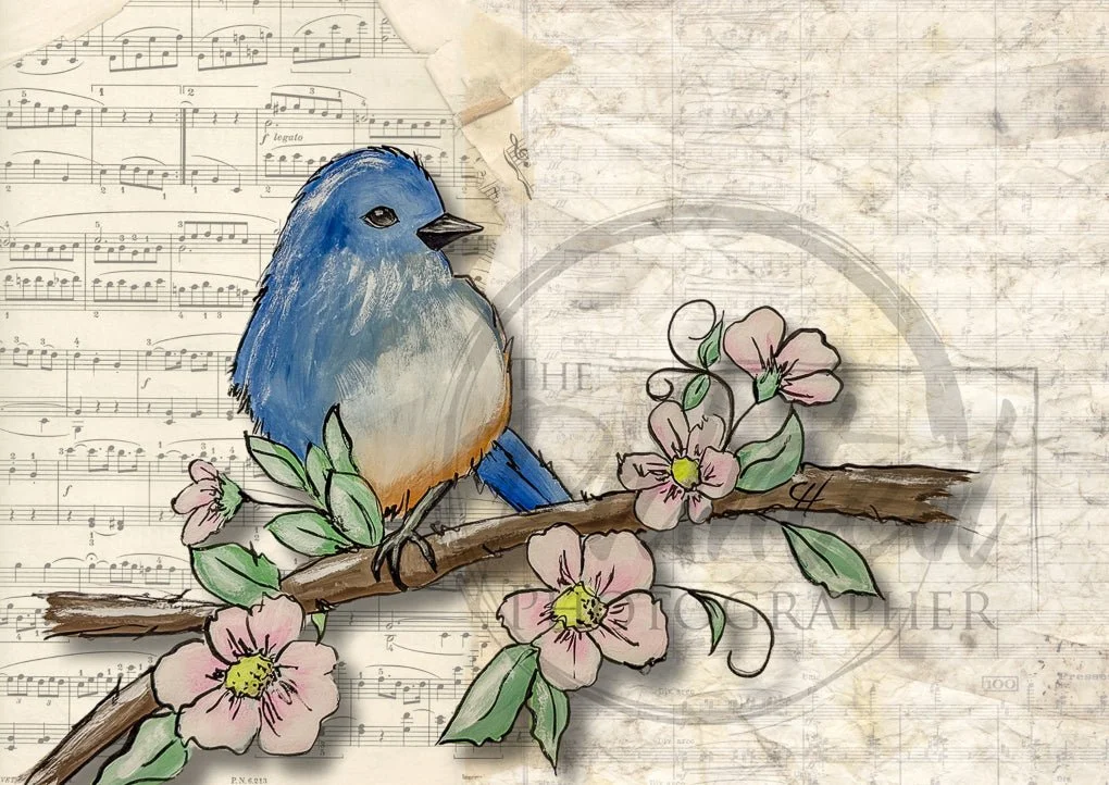 Moments of Happiness with Music - Connie's Rice Paper Retailers