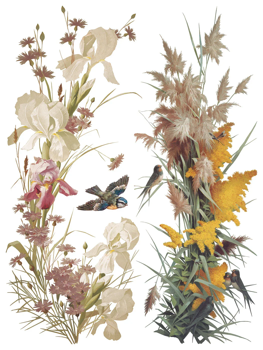 IOD-TRA-FBP_d.webp