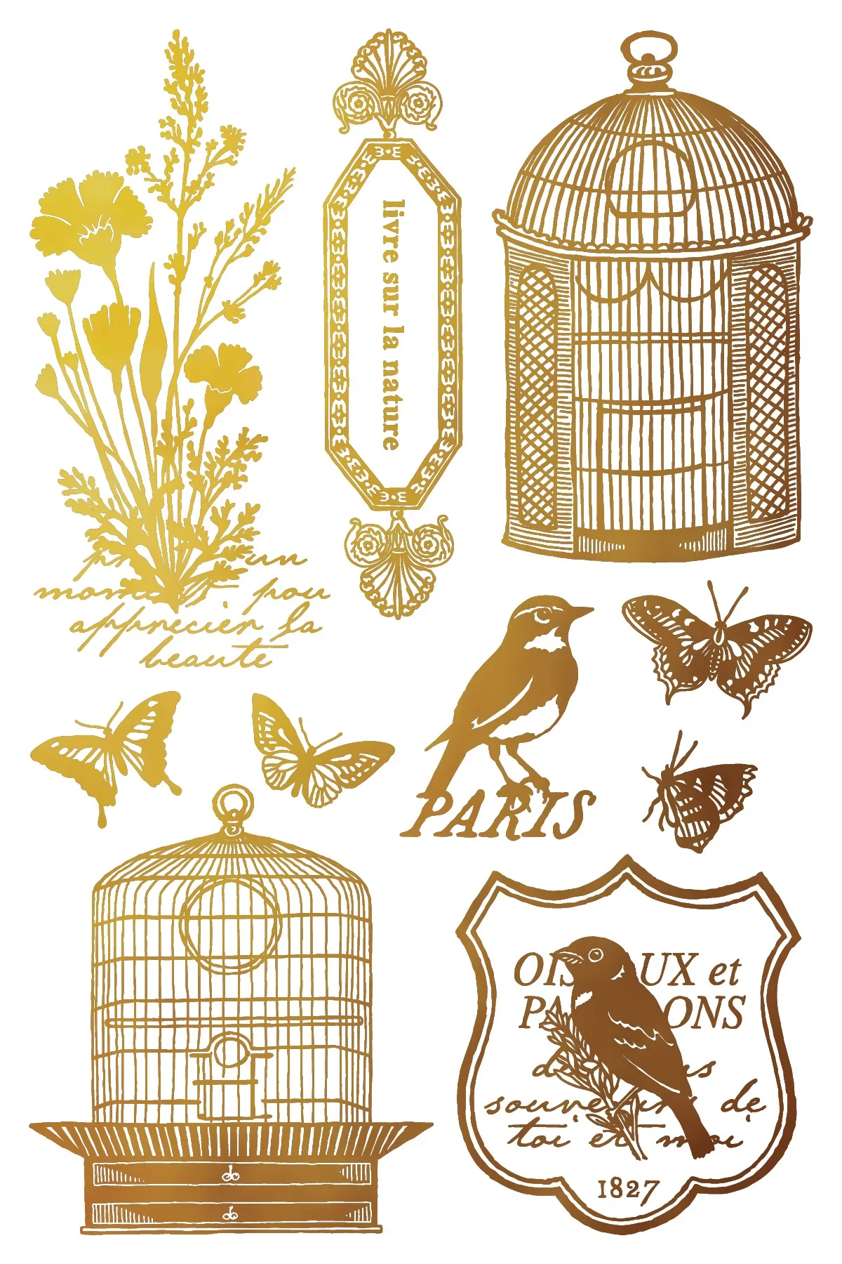 IOD-FOI-PAP_h.webp