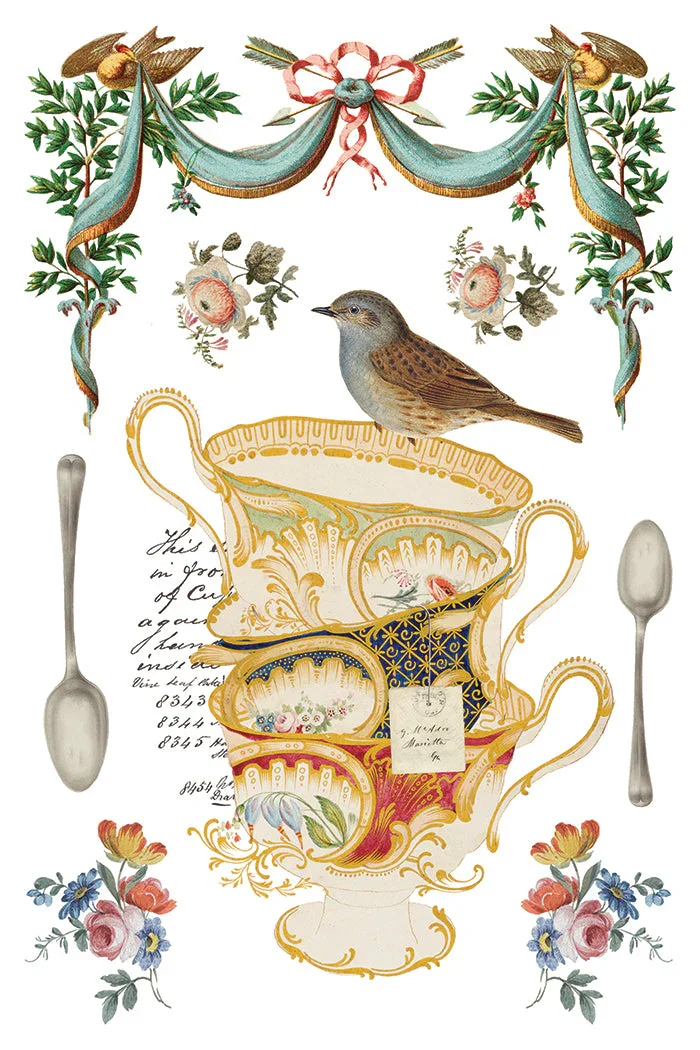 IOD-TRA-BLG_c.webp