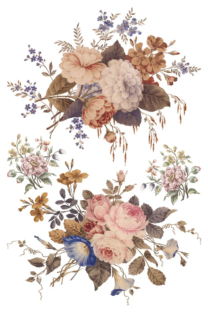 IOD-TRA-OUE_h.webp