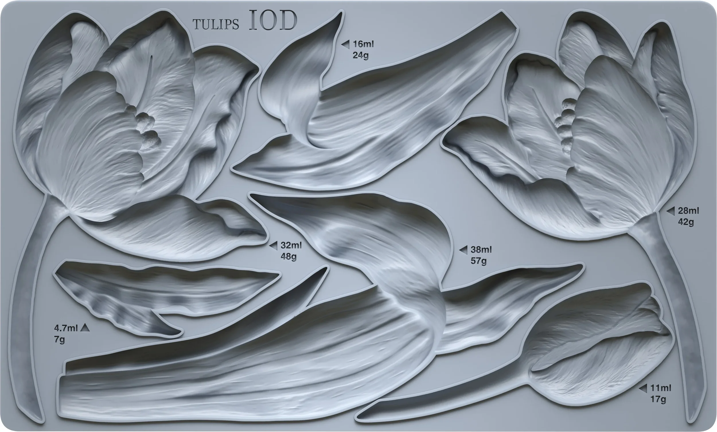 IOD-MOU-TUL_b.webp