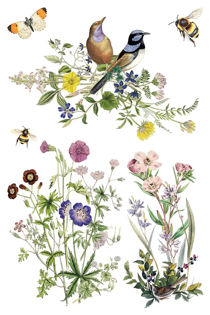 IOD-TRA-FLG_e.webp