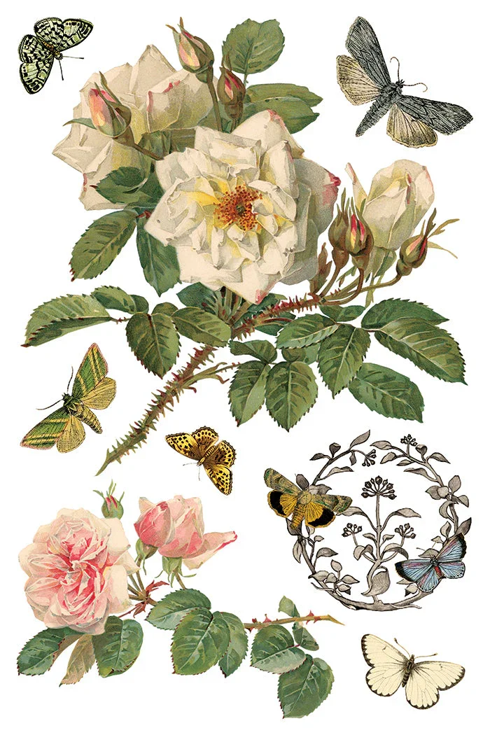 IOD-TRA-BYA_e.webp