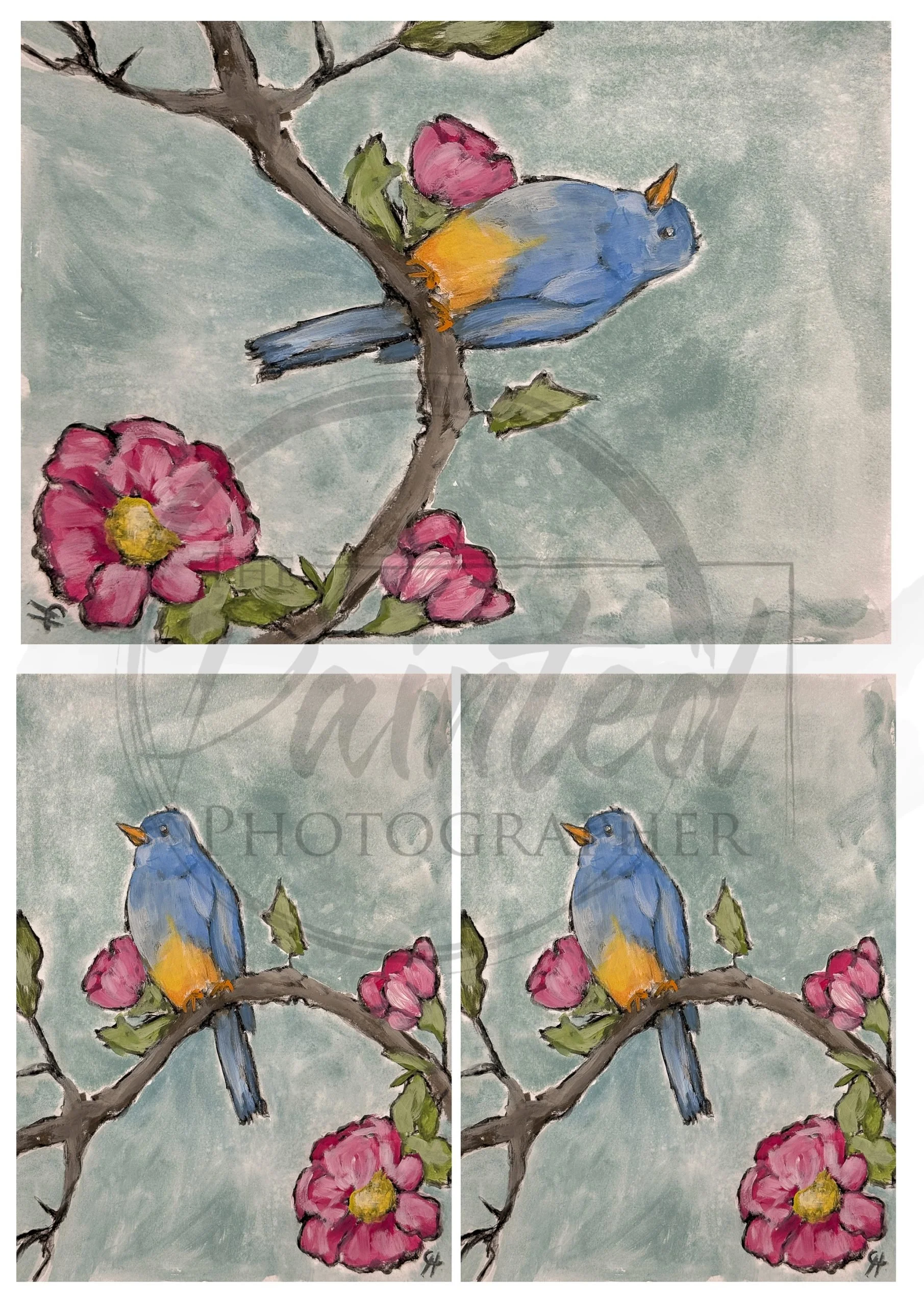 Multiple Whispering Spring With Color – Connie’s Spring Rice Paper